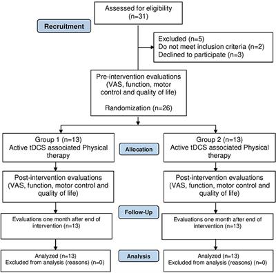 To Combine or Not to Combine Physical Therapy With tDCS for Stroke With Shoulder Pain? Analysis From a Combination Randomized Clinical Trial for Rehabilitation of Painful Shoulder in Stroke